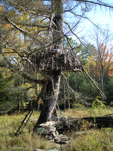 treehouse4.jpg