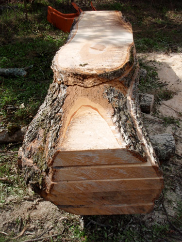 pecan log1