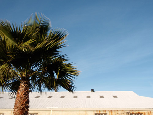 calistoga rooftop2