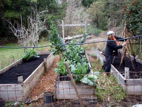 ene gardening