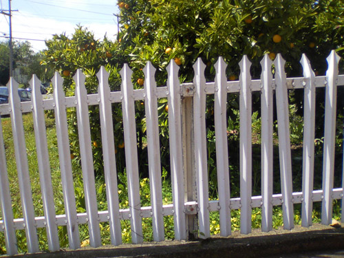 picket fence oakland